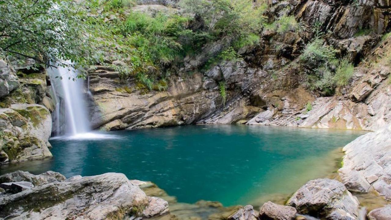Appartamento Abate Лідо-ді-Камайоре Екстер'єр фото